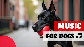Pawsitive Vibes Only: Calming Dog Music to Minimize Separation... screenshot 5