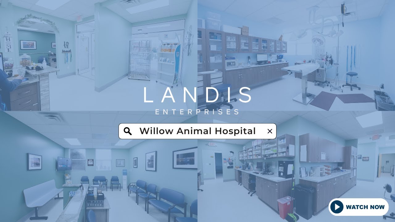 Final Project Reveal - Willow Animal Hospital | Landis Enterprises