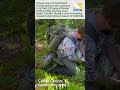 A team of Florida biologists discovers a giant, 16-foot plus python