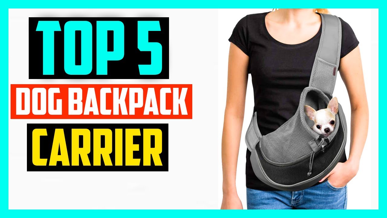 10 Best Dog Carriers of 2023 - Dog Backpack, Tote & Sling Reviews