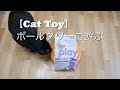 【Cat Toy】猫のおもちゃレビュー：ボールタワーで遊んでみた：The cat played with the ball tower