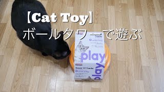 【Cat Toy】猫のおもちゃレビュー：ボールタワーで遊んでみた：The cat played with the ball tower