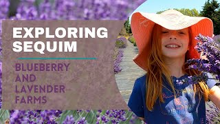 Exploring Sequim - Organic Blueberry Farm and Lavender Farm