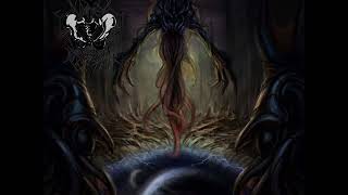 Cosmic Atrophy-Lurking Beyond the Mirror
