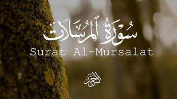 سورة المرسلات كما لم تسمعها من قبل😍 2025| Surat Al-Mursalat in full | القارئ أنس أحمد