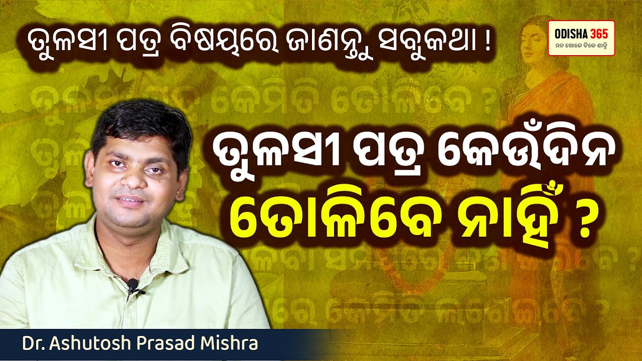 Tulasi Patra Keundina Tolibe Nahin ? ତୁଳସୀ ପତ୍ର ତୋଳିବା ବିଧି | Dr. Ashutosh Prasad Mishra  Odisha 365