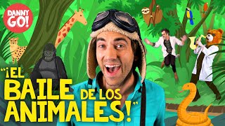 El Baile De Los Animales Danny Go Canciones De Baile Para Niños