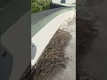 Reasons you might have to re roof - FLAT ROOFING