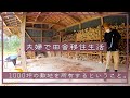 【夫婦で田舎移住生活】1000坪の敷地を所有するということ。| 梅雨 | 草刈り | 庭整備 | 薪 | 田舎暮らしDIY | 空き家セルフリノベーション | 宮崎 | えびの