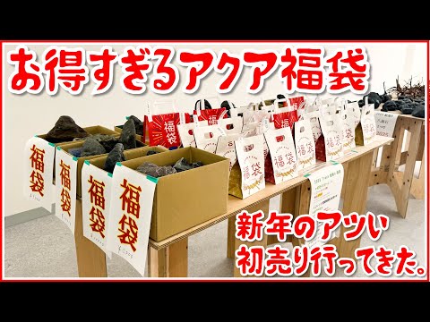 超お得】3万3000円のアクア福袋の中身とは…〜Trashさんの初売りに行っ