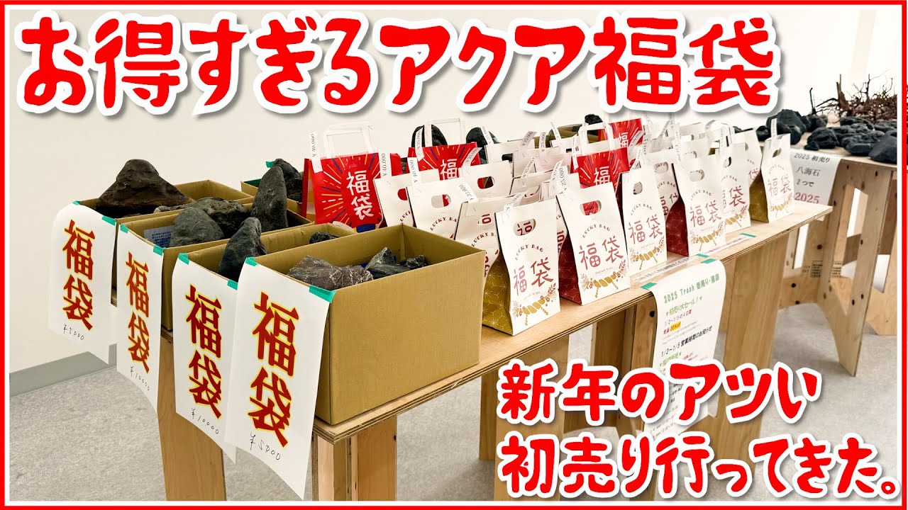 超お得】3万3000円のアクア福袋の中身とは…〜Trashさんの初売りに行っ