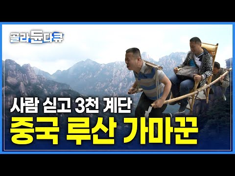 해외 극한직업!! 100kg에 달하는 무게를 견디며 산을 오르는 가마꾼 | #골라듄다큐