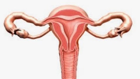 MRCOG PART 3 Station - Learn how to perform a hysterectomy in 10 steps