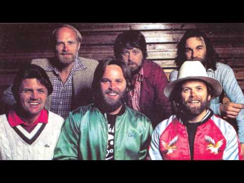 The Beach boys Live 1980 Fun, Fun, Fun