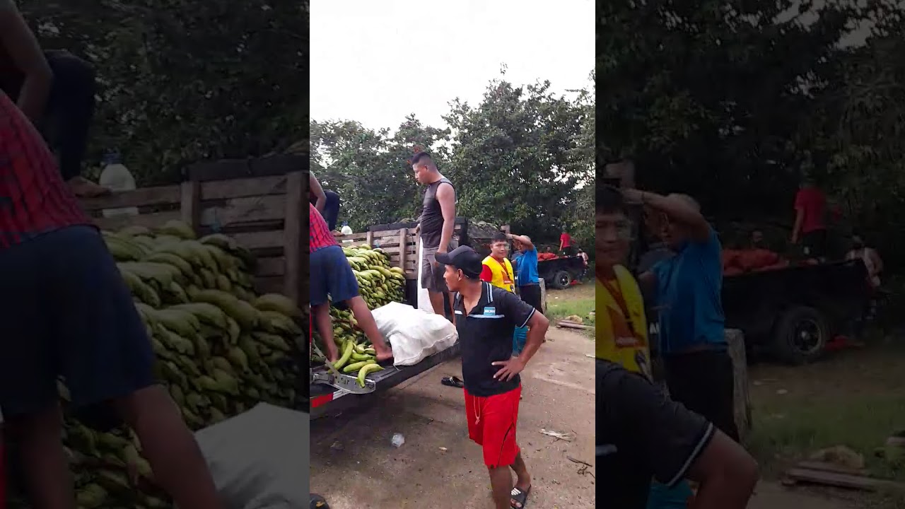 Rio chucunaque Darien. (C E W)