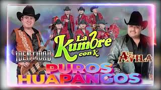 Los Avila, Conjunto Nube, Grupo Legitimo🐎 Puras Huapangos Norteñas Mega Mix