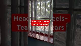 singer nippet 80sband tearsforfears 80s