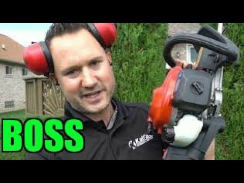 How to Trim Shrubs Like a BOSS - Landscaping Tips 101