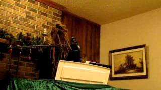 Duke Special - Why Does Anybody Love