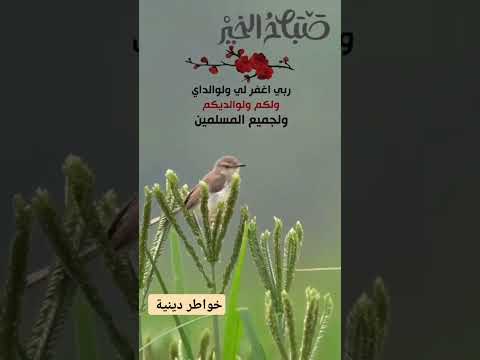 صباح القرآن وطاعة الرحمن
