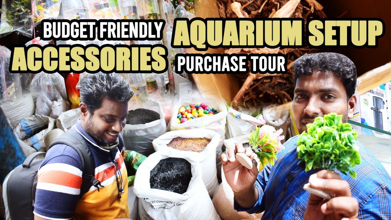 Kolathur Fish Tank Accessories Purchase Tour For Sugumar Buying