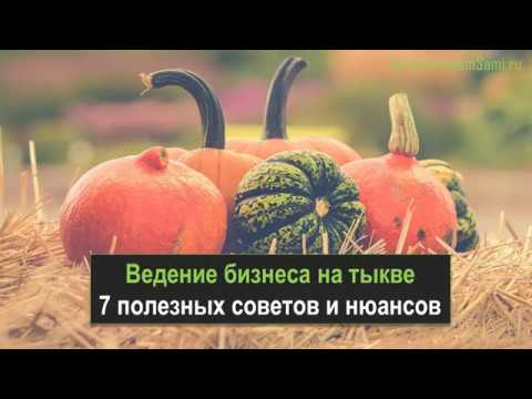 Выращивание тыквы как бизнес