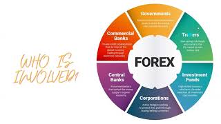 INTRODUCTION TO HFX