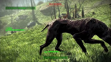 PS4 Fallout 4 Mod Siren Playthrough Part 10