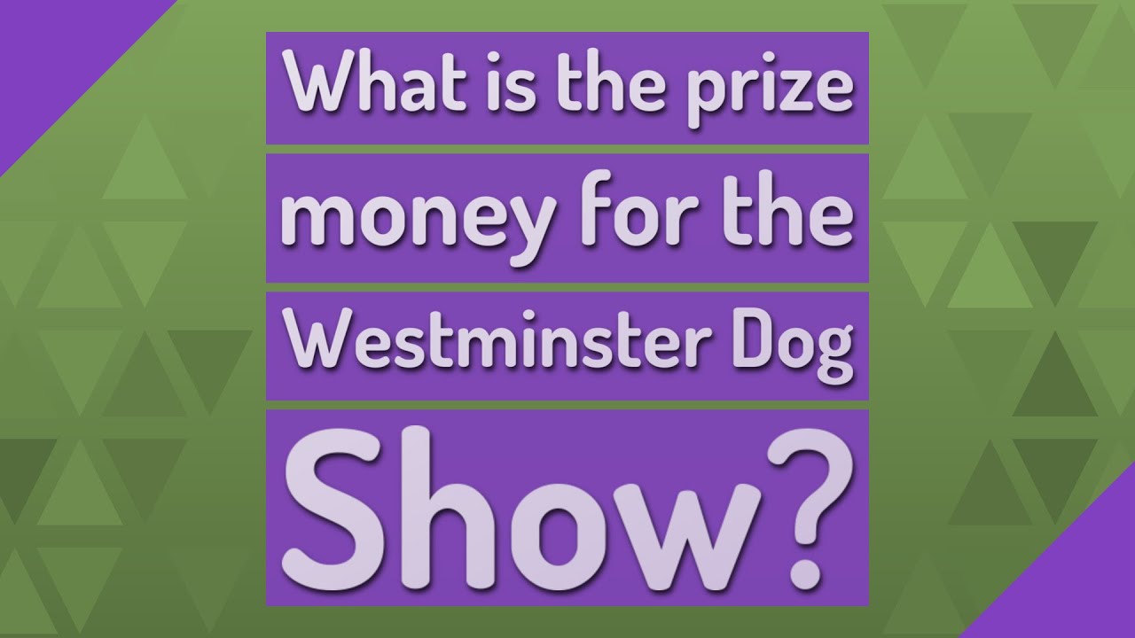 What is the prize money for the Westminster Dog Show? YouTube