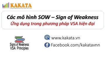 Các mô hình SOW - Sign of Weakness ứng dụng trong phương pháp VSA hiện đại | Khánh Blade