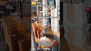 오늘의 유머☺️  #영어회화 #영어회화수업 #짜투리시간 #성인영어수업 #영어스피킹연습 #영어회화공부법 #영어회화팁 #영어기초회화 #유머 #해외유머