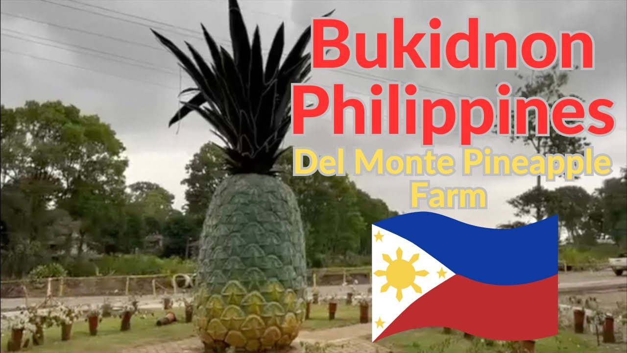 Bukidnon Philippines Motor Ride to Del Monte Pineapple Farm YouTube