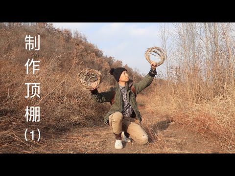 地洞的屋顶材料：北方有一种奇特的植物，可弯曲、编织篮筐……据说是来自日本的植物