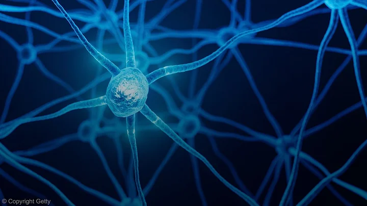 Autoimmune Encephalitis Misdiagnosis