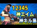 ［魔王魂　12345］ PC 等速 スカフ勢の神キル集！チートエイム！　最強　フォートナイト　GW ネフライト使用音楽BGM