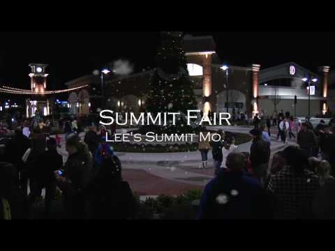 Flash Mob during the Summit Fair Christmas Tree Li...