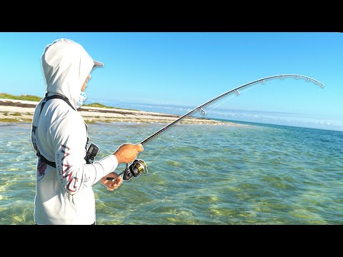 THE BEACH WAS LOADED WITH BIG FISH! (Summertime Snook Fishing)