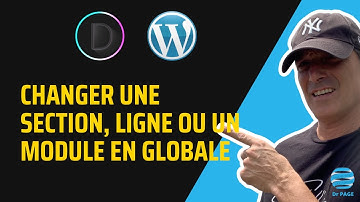 Comment rendre une SECTION GLOBALE et l