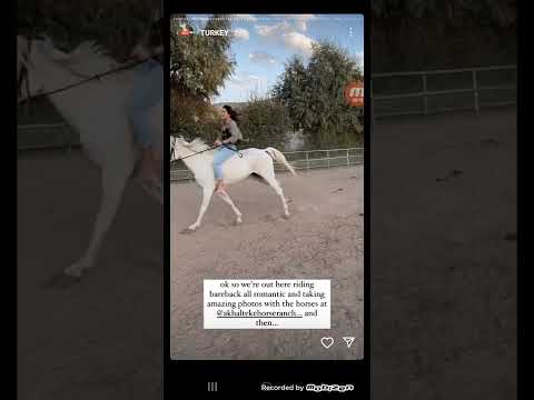 Instagram Barefoot Riding Horses