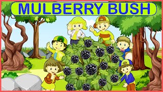 Mulberry Bush Nursery Rhymes Video for Kids | Poem for Preschool & Kindergarten | Toddlers Song