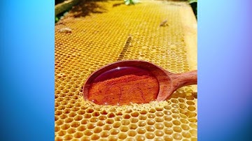 MOST AMAZING HONEYCOMB UNCAPPING/Oddly Satisfying #2