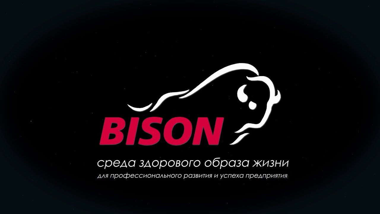 Бизон доставка. Бизон обувь логотип. Магазин бизона. Бизон Медиа рекламное агентство.