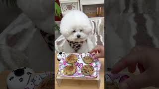 plz Subscribe ❤😻🐾Cute kitten #cat #lovecats #cats #catvideos #kittens #catlover #princesscat #kitten
