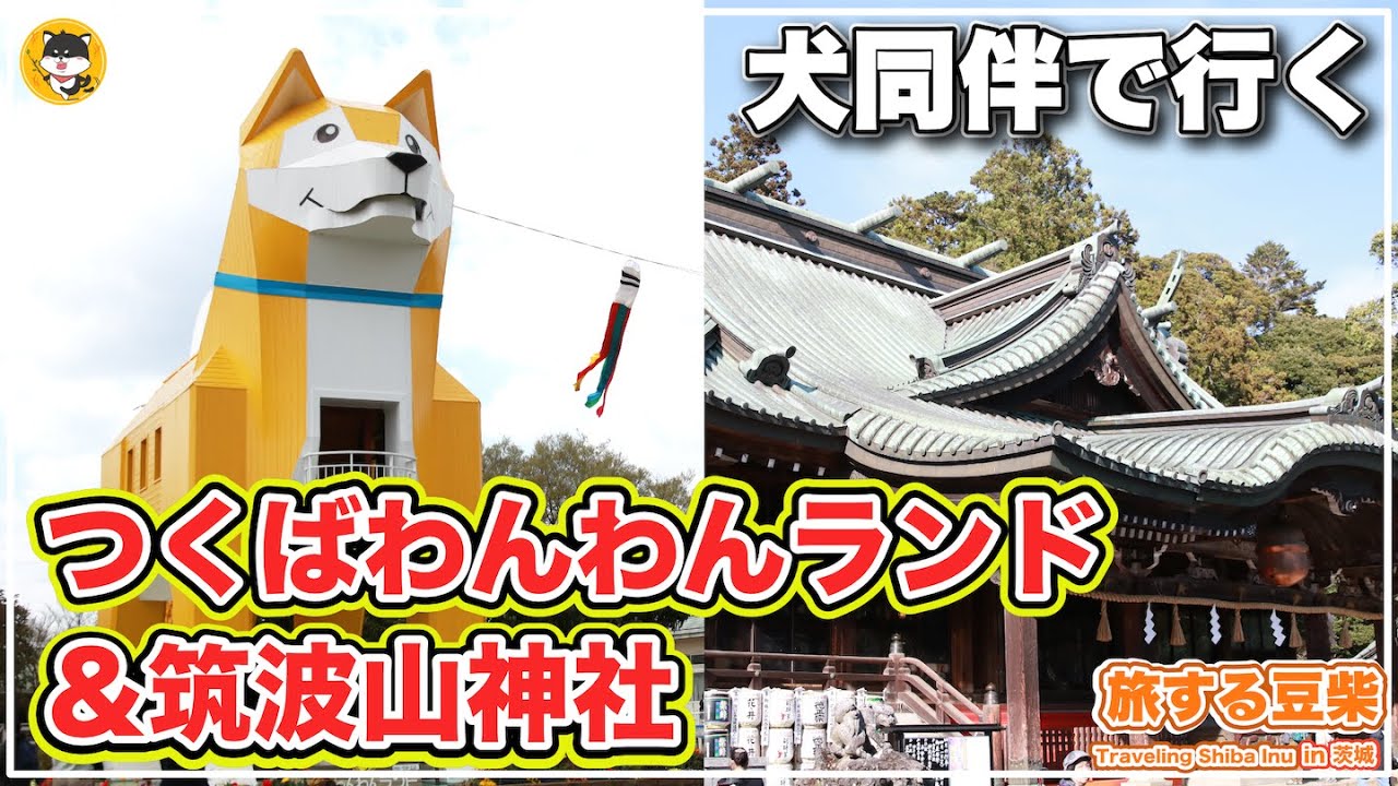 【犬とお出かけ・日帰り旅行】小柄な柴犬と「つくばわんわんランド」と「筑波山神社」に行ってみた結果※旅する豆柴in茨城総集編