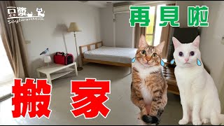 【豆漿與白目鴿 EP08】 搬家　再見了鴿子...