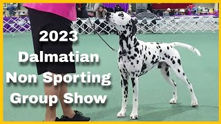 2023 Dalmatian Club of Vic  Non Sporting Group Show