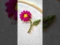 Easy Flower & Leaf Embroidery for Beginners 🌸 | Basic Stitches Tutorial | Sutrangi Studio