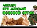 АНЕКДОТ ПРО ЖЕНСКИЙ ПОЛОВОЙ ОРГАН, АНЕКДОТ ПРО АРМИЮ