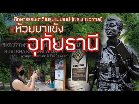 ศึกษาธรรมชาติในรูปแบบใหม่ (New Normal) ห้วยขาแข้ง อุทัยธานี