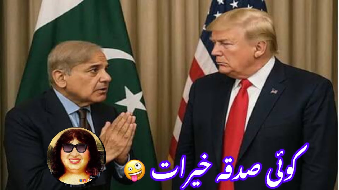 shahbaz sharif and trump funny moment || patwaran plus 